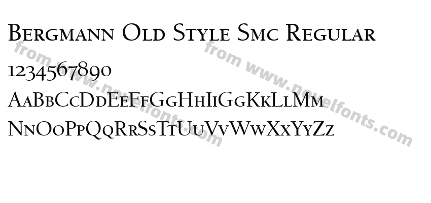Bergmann Old Style Smc RegularPreview