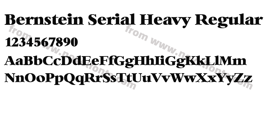 Bernstein Serial Heavy RegularPreview
