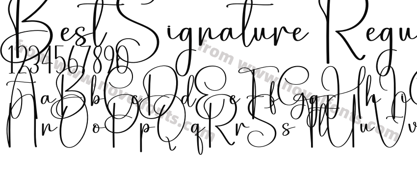 Best Signature RegularPreview