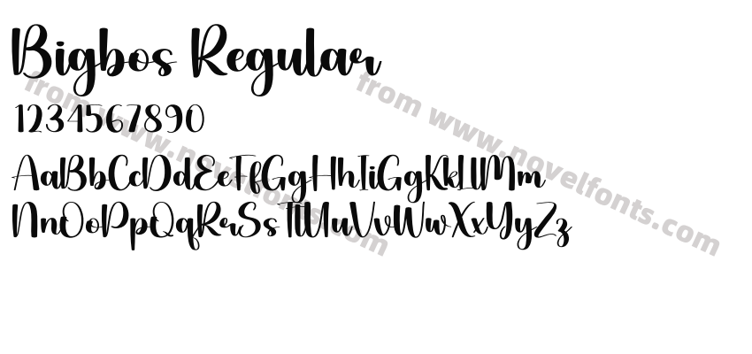 Bigbos RegularPreview