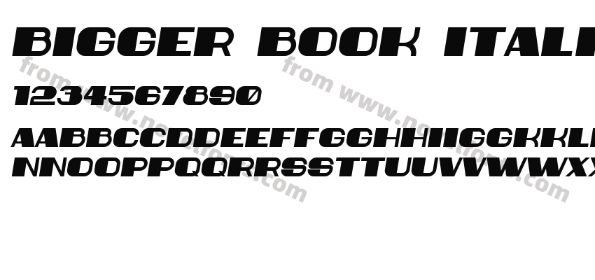 Bigger Book ItalicPreview