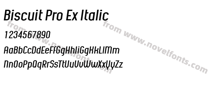 Biscuit Pro Ex ItalicPreview