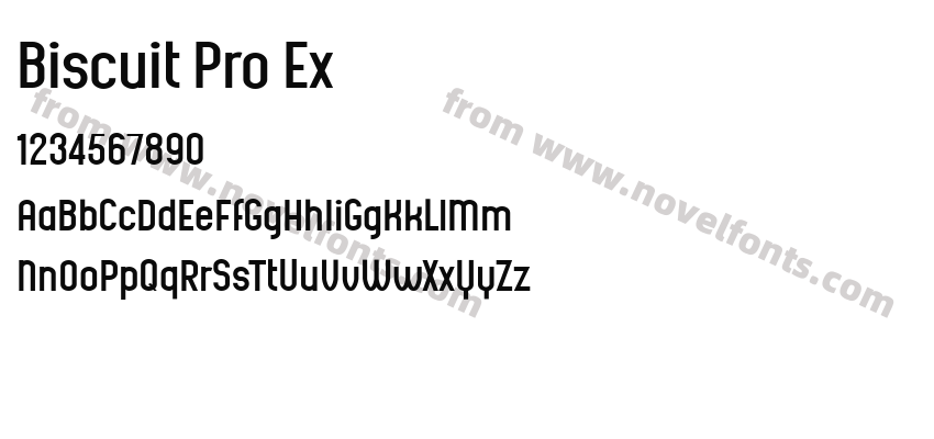 Biscuit Pro ExPreview