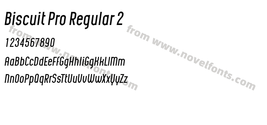 Biscuit Pro Regular 2Preview