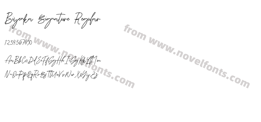 Biyenka Signature RegularPreview