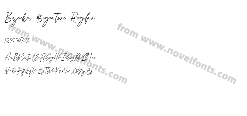 Biyenka Signature RegularPreview