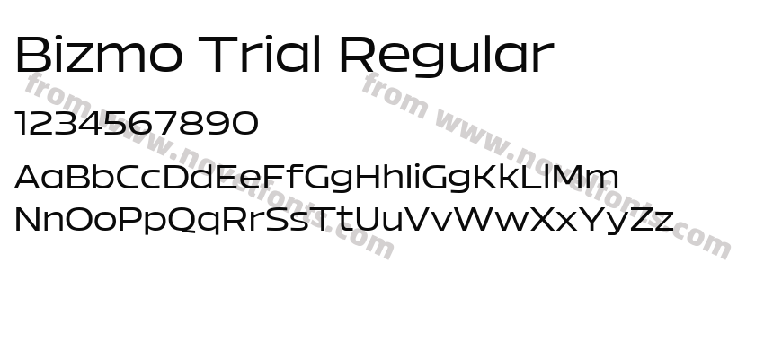 Bizmo Trial RegularPreview