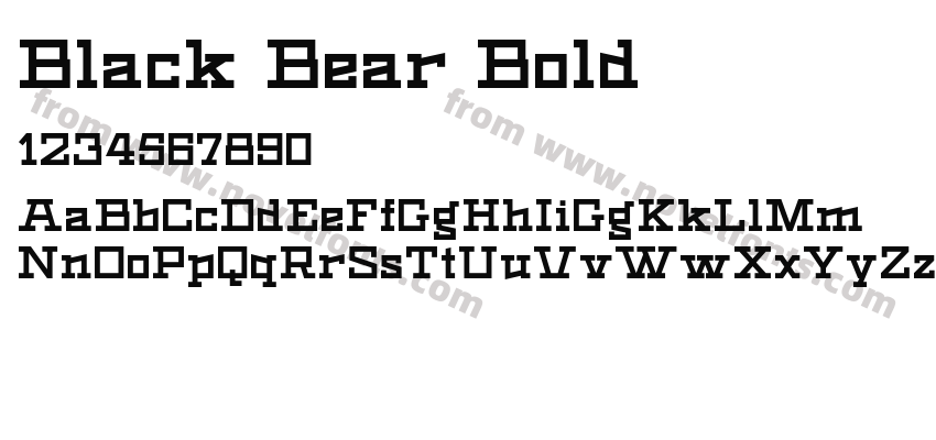 Black Bear BoldPreview