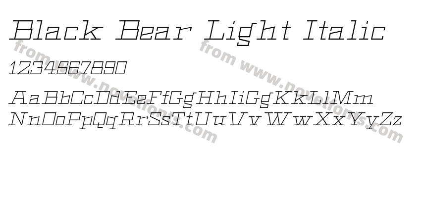 Black Bear Light ItalicPreview