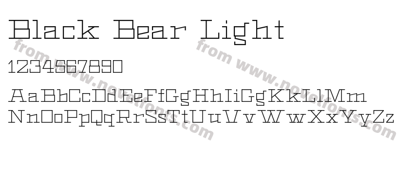 Black Bear LightPreview