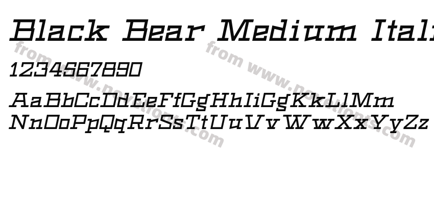Black Bear Medium ItalicPreview