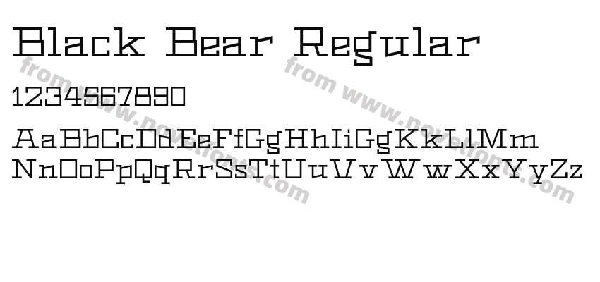 Black Bear RegularPreview
