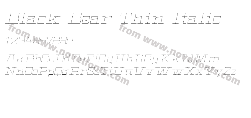 Black Bear Thin ItalicPreview