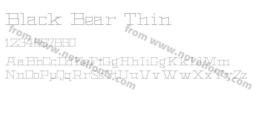 Black Bear ThinPreview
