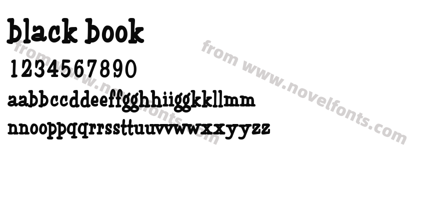 Black BookPreview