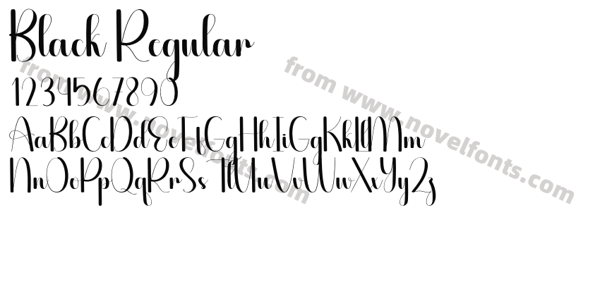 Black RegularPreview