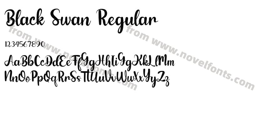Black Swan RegularPreview