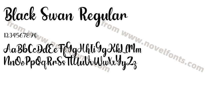 Black Swan RegularPreview