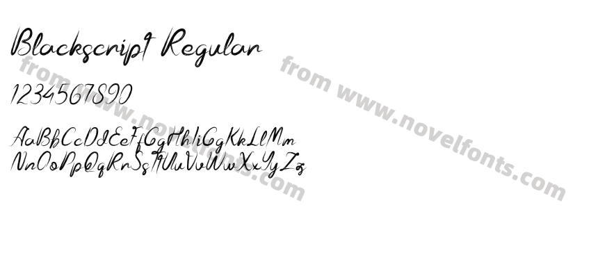 Blackscript RegularPreview