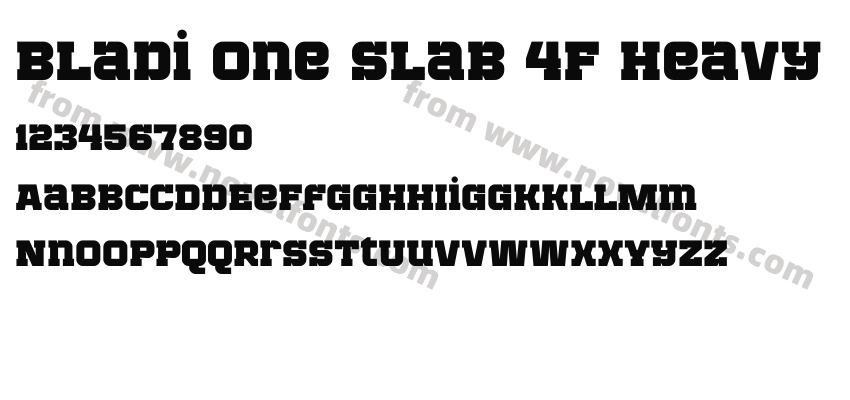Bladi One Slab 4F HeavyPreview