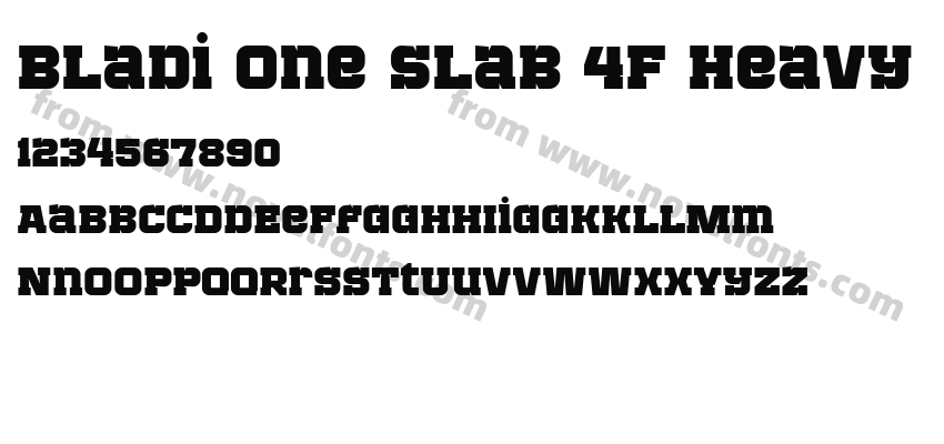 Bladi One Slab 4F HeavyPreview