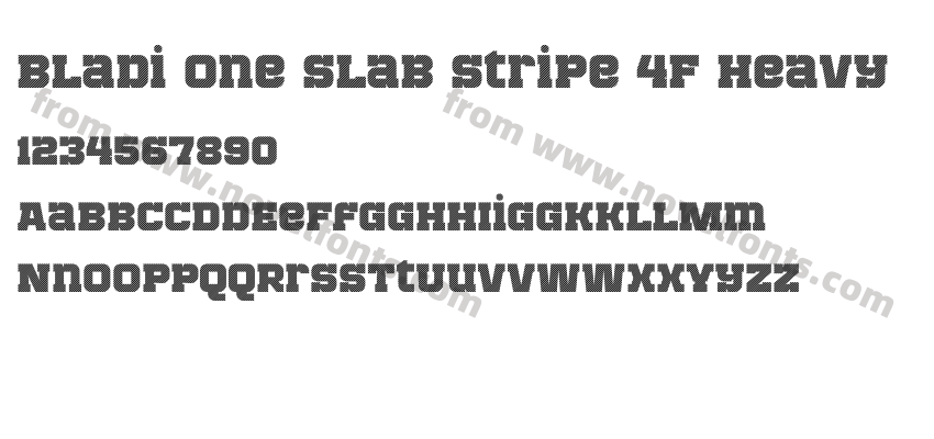 Bladi One Slab Stripe 4F HeavyPreview