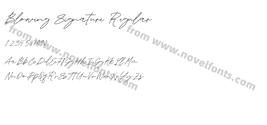 Blowing Signature RegularPreview