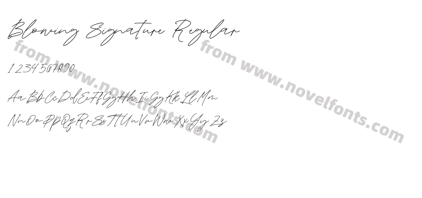 Blowing Signature RegularPreview