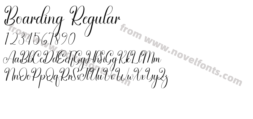 Boarding RegularPreview