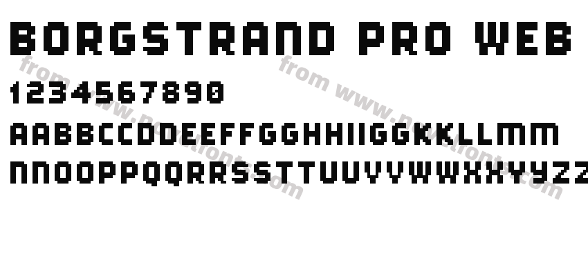 Borgstrand Pro WebPreview