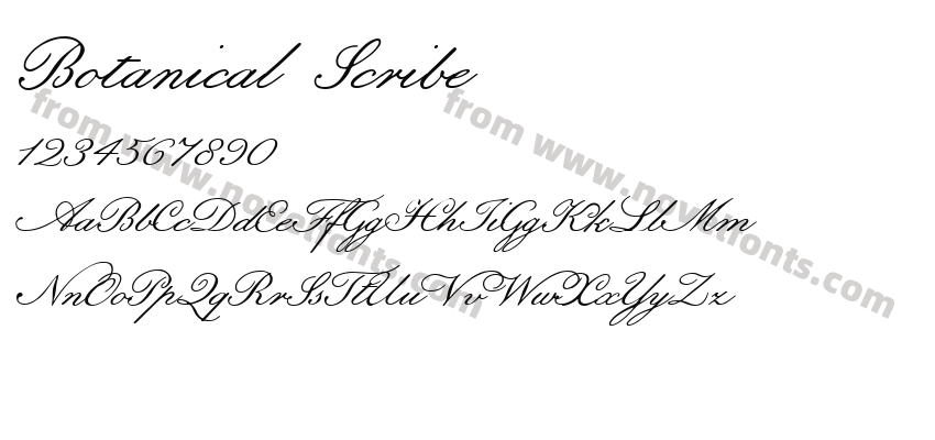 Botanical ScribePreview