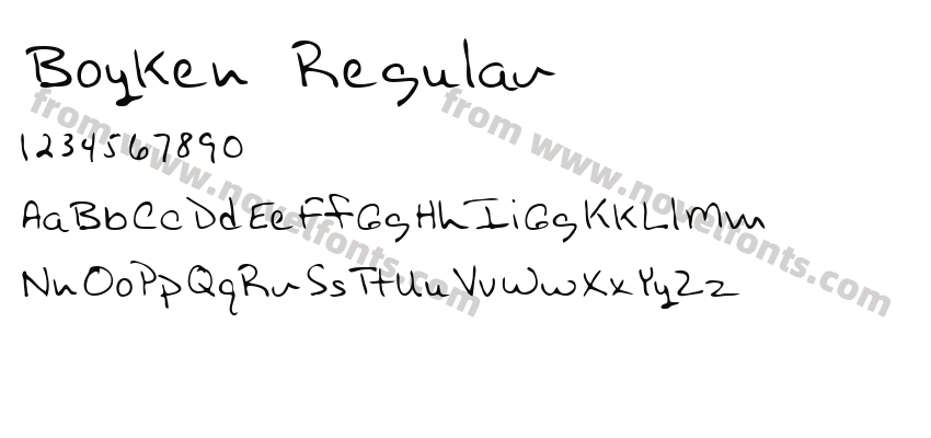 Boyken RegularPreview