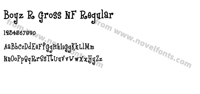 Boyz R Gross NF RegularPreview