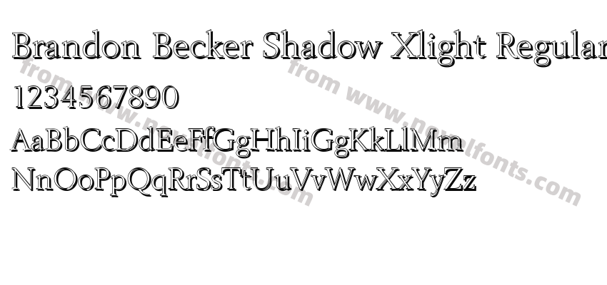 Brandon Becker Shadow Xlight RegularPreview