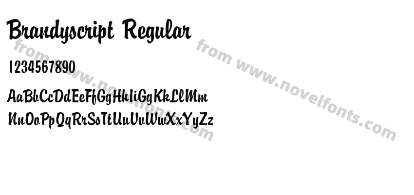 Brandyscript RegularPreview