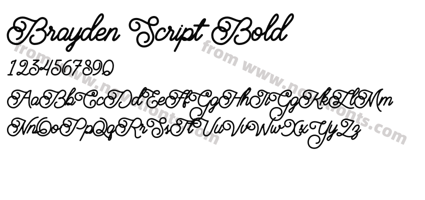 Brayden Script BoldPreview