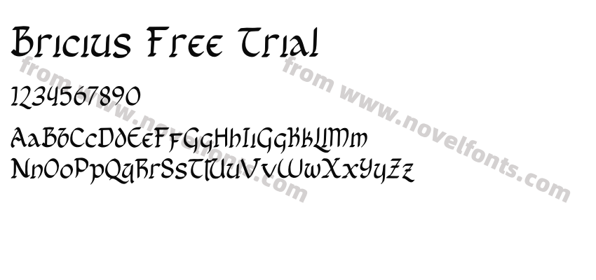 Bricius Free TrialPreview