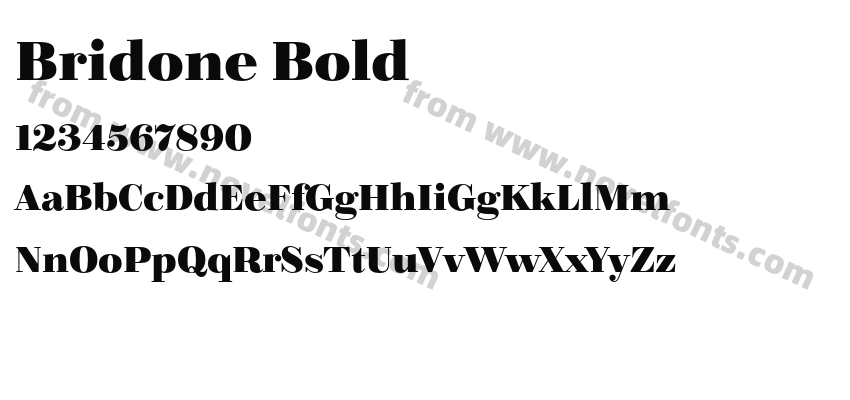 Bridone BoldPreview
