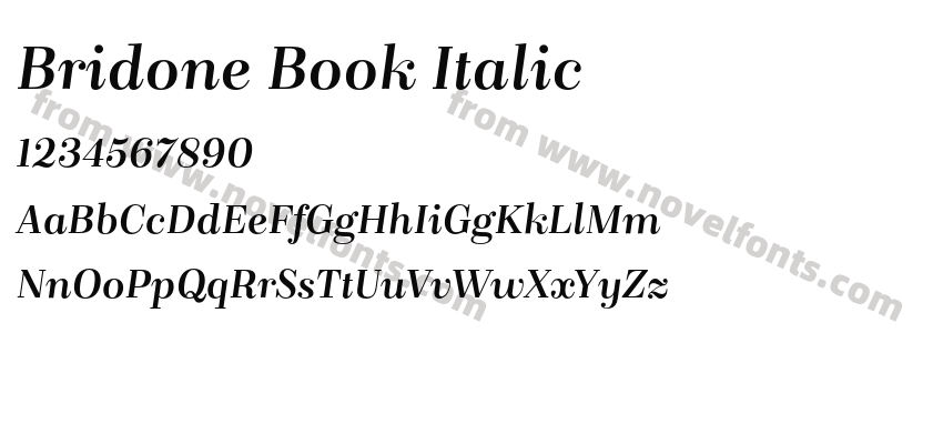 Bridone Book ItalicPreview