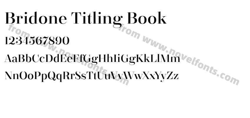 Bridone Titling BookPreview