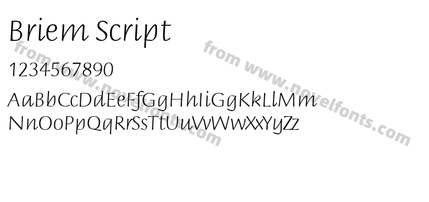 Briem ScriptPreview