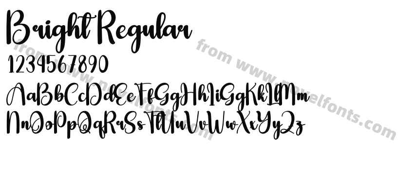 Bright RegularPreview