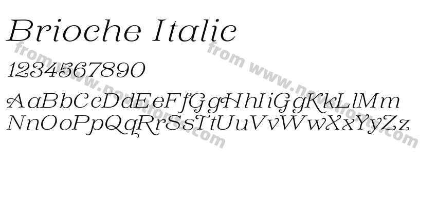 Brioche ItalicPreview