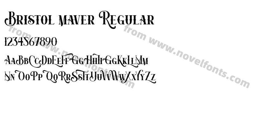 Bristol maver RegularPreview