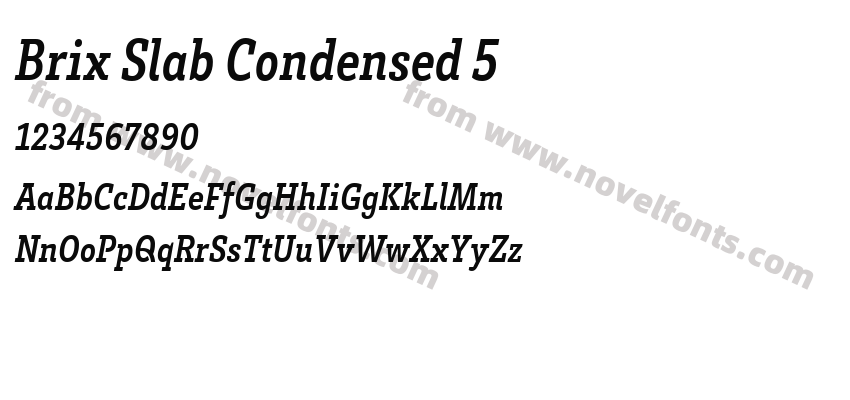 Brix Slab Condensed 5Preview