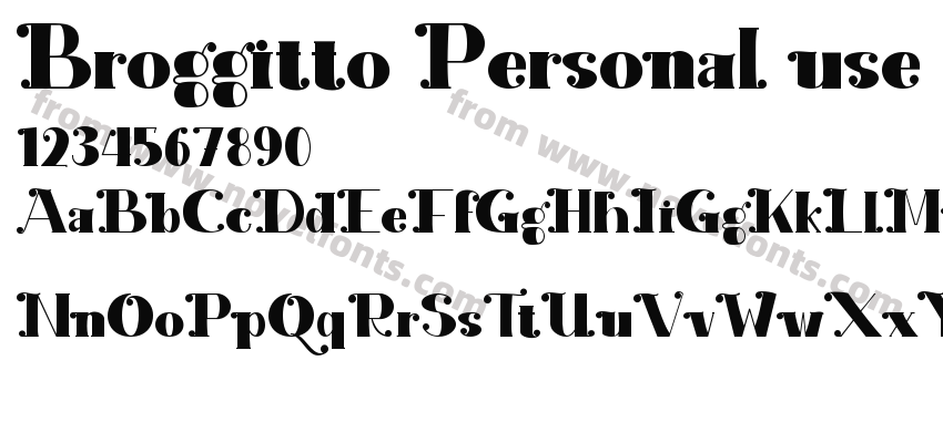 Broggitto Personal usePreview