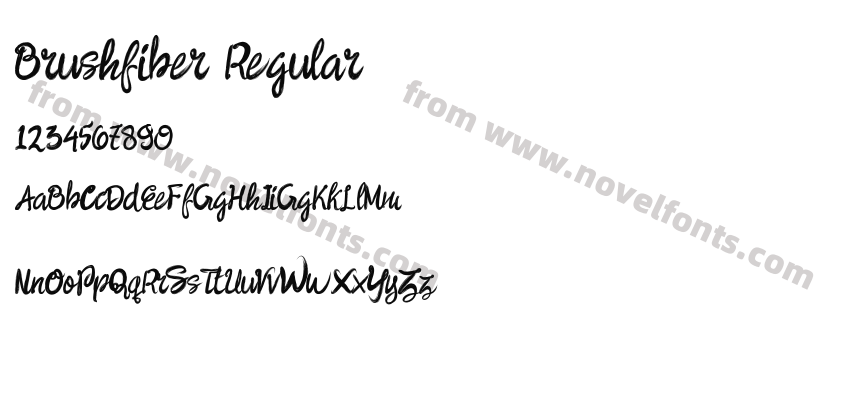 Brushfiber RegularPreview