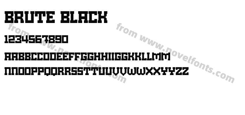 Brute BlackPreview