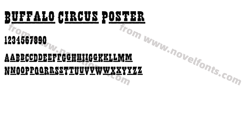 Buffalo Circus PosterPreview