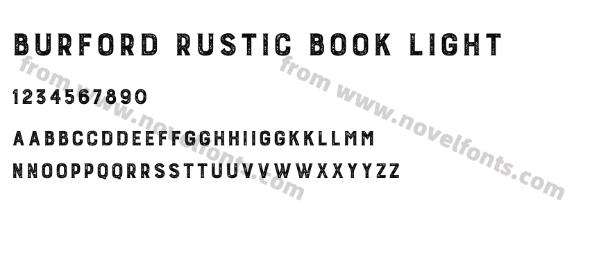 Burford Rustic Book LightPreview